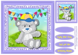 Cuddly Bear with his Cap
