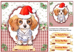 Cute Cavalier in a Santa Hat