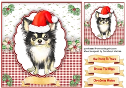 Cute Chihuahua in a Santa Hat