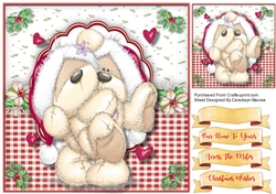 Teds Cuddles at Christmas