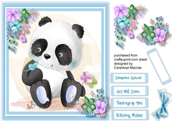 Pandas Blue Butterfly