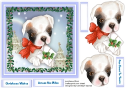 Pups Christmas Parcel