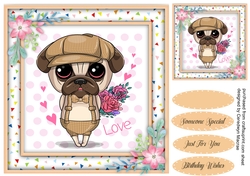 Dressed Up Pug