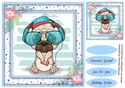 Groovy  Pug