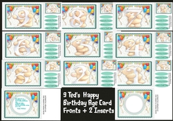 9, Teds Happy Birthday Age Cards +2 Inserts