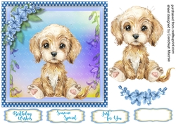 Adorable Labradoodle
