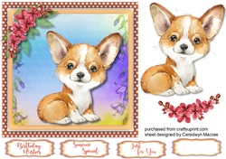 Adorable Welsh Corgi