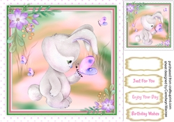 Bunnys Butterfly Friends