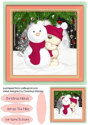 Building The Snowman 