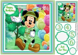 Mickys Birthday Wish