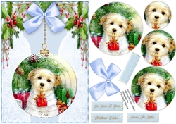 A5,Dog with Present