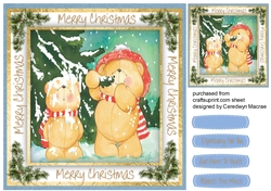 Teds Snow fall