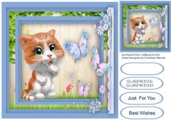 Kittys Butterfly Friends