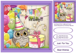 Owls Birthday Surprise