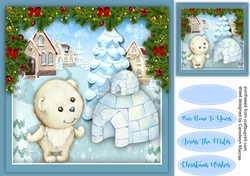 Polar Bears New Home