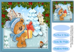 Teds Special Gift