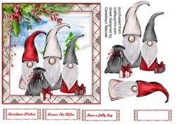 The Christmas Gnomes