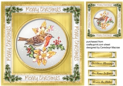Gorgeous Christmas Robin 3