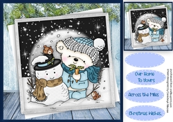 Dressing the Snowman