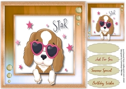 Cute Star Animal 6