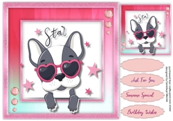 Cute Star Animal  9