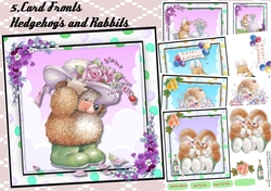 5, Card Fronts Hedgehogs and Rabbits 