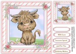 Gorgeous Wee Baby Coo 