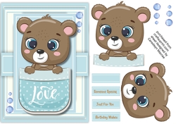 A5, Bears Love Pocket