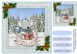 Koalas Christmas Present