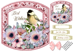 Beautiful Birds and Pink Anemones