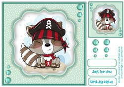 Cute Pirate Racoon