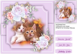 Gorgeous Kittens and Roses
