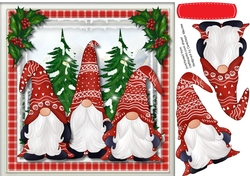 Beautiful Red Gnomes