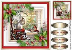 Gorgeous Playful Squirrels