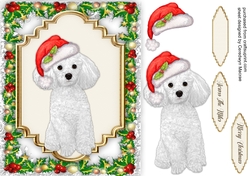 Gorgeous Christmas Poodle