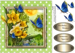 Dancing With Daffodils 3
