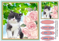 Gorgeous Kitty in the Roses