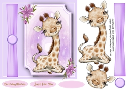 Gorgeous Baby Giraffe