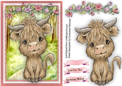 A5 , Gorgeous Buffalo Baby