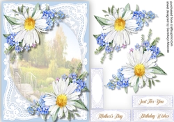 Daisys and Forget-me-Nots