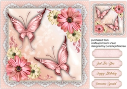 Beautiful Pink Butterflys and Daisys 
