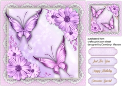 Beautiful Lilac Butterflys and Daisys