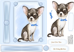 Beautiful Chihuahua in a bow tie