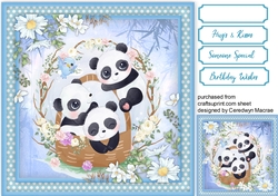 A Basket of Pandas