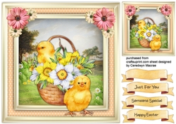Chicks in the Basket