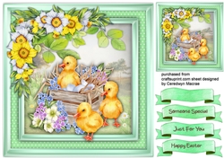 Ducks in the Nest Box