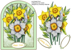 Beautiful Shaped Daffodil Card