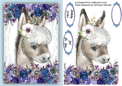 Gorgeous Donkey with Roses 