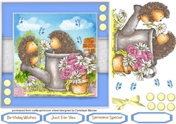 Hedgehogs Popsy Daisy