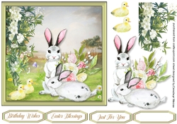 Rabbits and Ducks in the Meadow